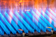 Luppitt gas fired boilers